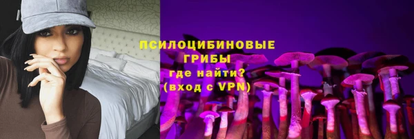 гидра Арсеньев