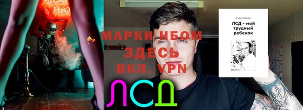 гидра Арсеньев