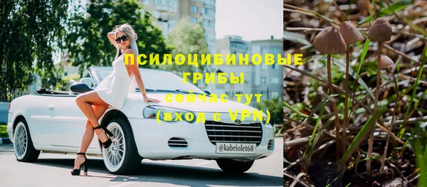 гидра Арсеньев