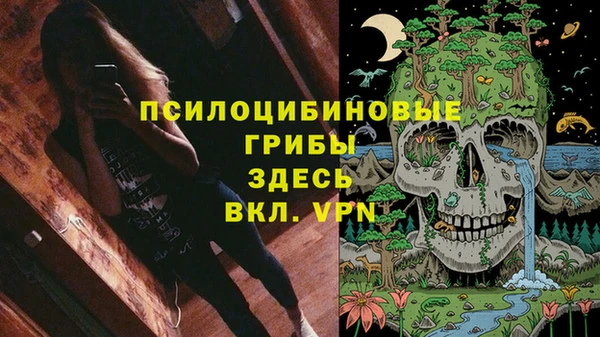 гидра Арсеньев