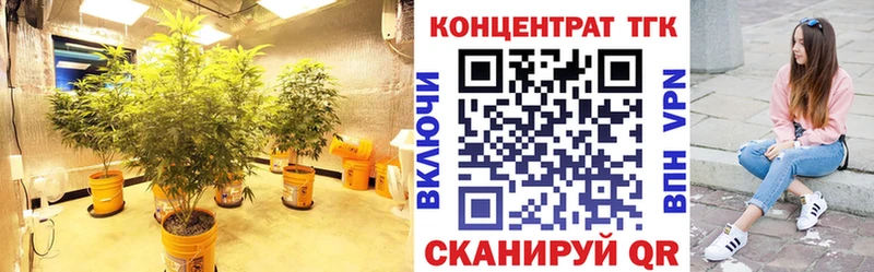 Дистиллят ТГК THC oil  Чегем 