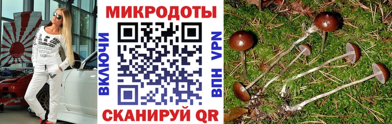 маркетплейс телеграм  mega сайт  Чегем  Галлюциногенные грибы Cubensis 